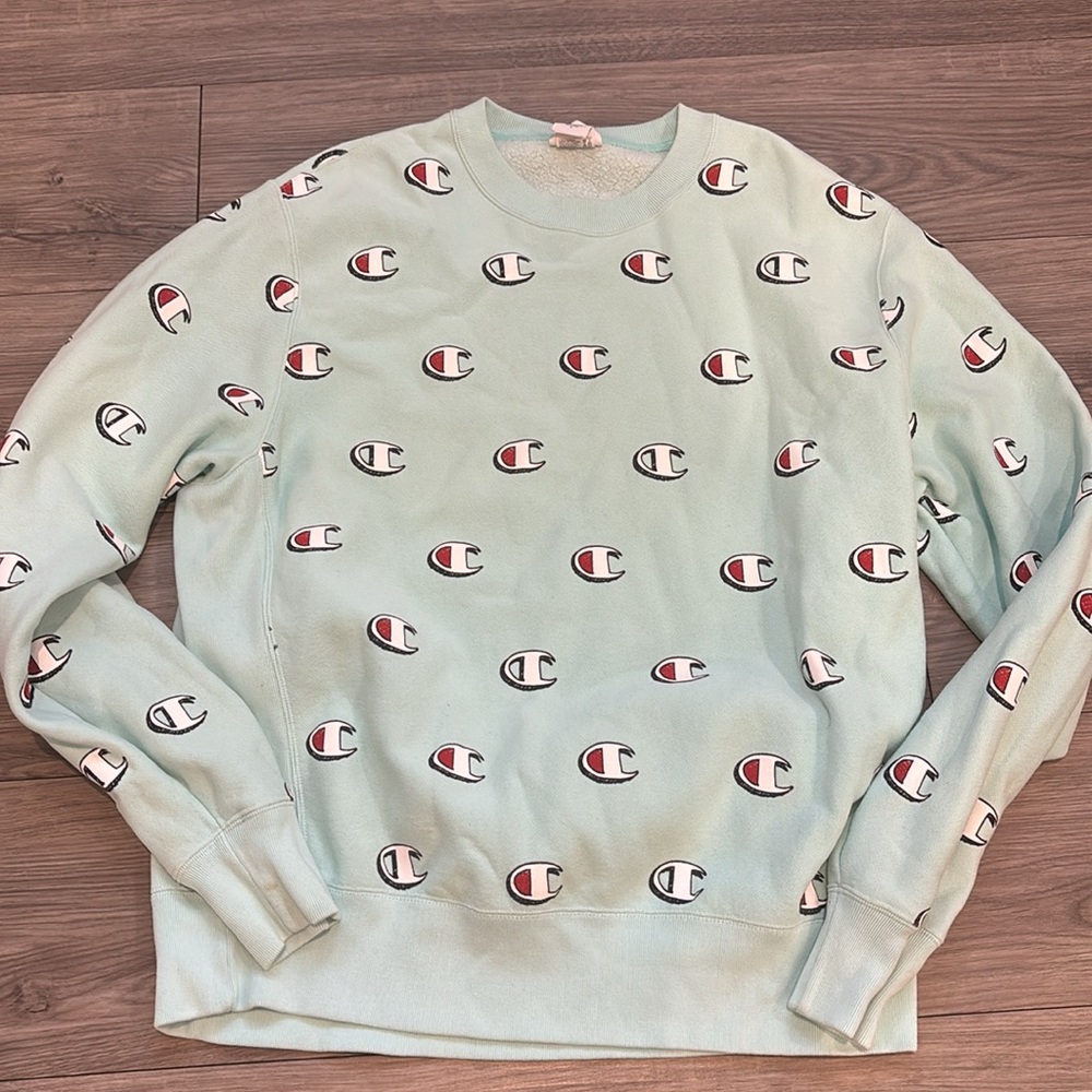 Champions reverse weave mint hoodie